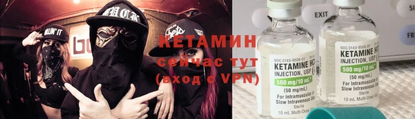 индика Кулебаки