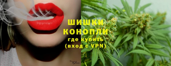 индика Кулебаки