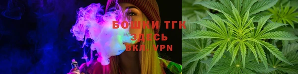 индика Кулебаки