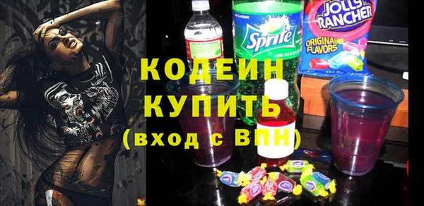 индика Кулебаки