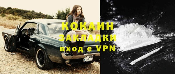 индика Кулебаки