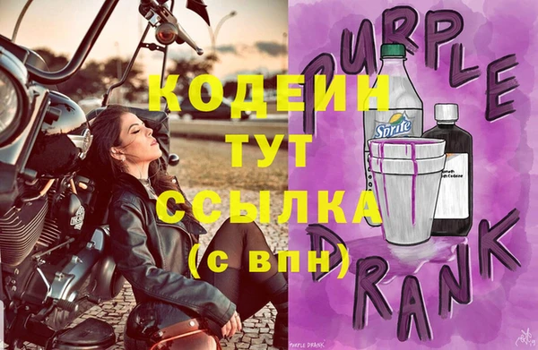 индика Кулебаки