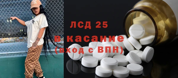 индика Кулебаки