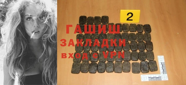 индика Кулебаки