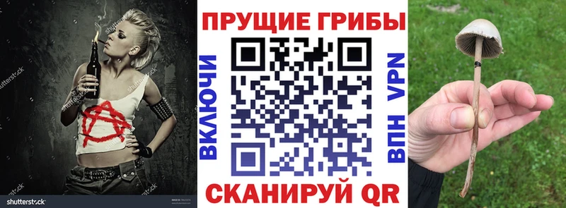 Галлюциногенные грибы Psilocybine cubensis  мориарти клад  Белоусово 